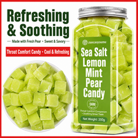 Cubes de thé gourmet pour accompagnement |   Pâte de poire au sel de mer, citron et menthe, édulcorant |   Rehausseur de saveur instantané pour les thés aux herbes et verts 350g
