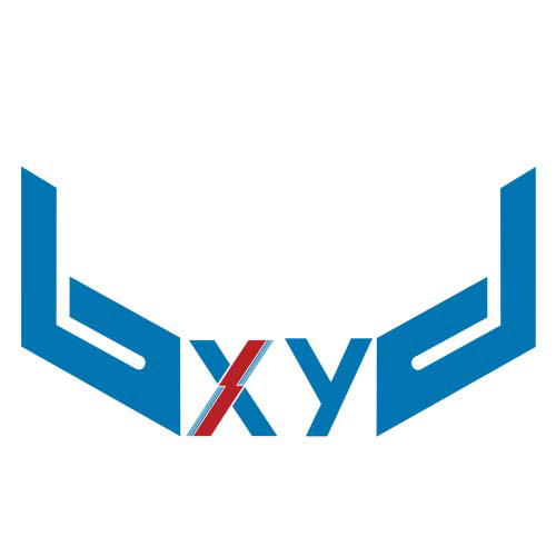 Shenzhen Xiyong Electronics Co., Ltd. logo