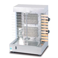 Machine à shawarma au gaz automatique à 2 brûleurs de qualité commerciale, excellent rapport qualité-prix