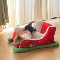 Lit pour chat moderne en peluche, style nuage, chaud pour l'hiver, pour chat et chien, accessoire de lit de Noël avec motif uni, fournitures pour animaux de compagnie