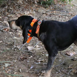 Collar de Rastreo GPS para Perros con Antena para Garmin T5 TT10 TT15 T5Mini DC30 DC40 DC50 Dogtra Pathfinder - Product Image 2