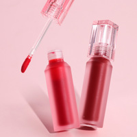 Teinture à lèvres à haute pigmentation, fini mat, label privé, végan, longue tenue, glaçage mat, anti-bavures, rouge à lèvres velours pour le maquillage des lèvres