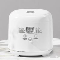 Autocuiseur Électrique 5.0L 900W avec Logo Personnalisé WT-D04-5.0L, Minuteur 24H et Cuve Antiadhésive pour Personnes Diabétiques