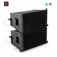 Lasesound Enceinte Line Array Professionnelle Simple 10 Pouces 300W RMS 133dB SPL Max Néodyme Étanche Système Audio de Scène Compact