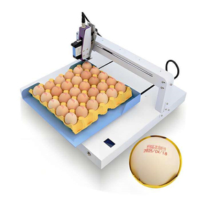Imprimante d'étiquettes d'œufs en ligne SHUOMAN Technology, système <span class=keywords><strong>de</strong></span> codage jet d'encre à grands caractères CMYK pour l'impression d'œufs <span class=keywords><strong>de</strong></span> poulet et <span class=keywords><strong>de</strong></span> <span class=keywords><strong>canard</strong></span>, NOUVEAU - Product Image 6