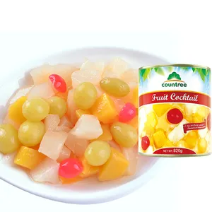 Good Quality 425G Easy Open Canned Fruit Factory Canned Fruit Cocktail For Sale