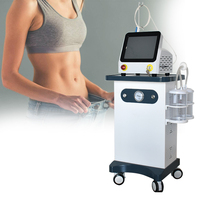 Triangel Endoskin Vaser Liposuccion Corps Façonner Minceur Machine 980nm Lipolyse Endolaser Ascenseur
