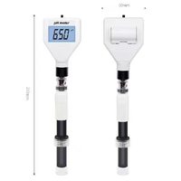 Testeur de pH de la peau, acidimètre, sonde remplaçable, écran LCD
