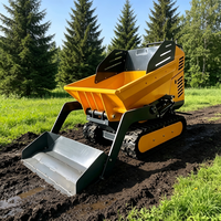 Véhicule de transport sur chenilles compact et robuste ME500 fourni par l'usine, avec moteur, haute capacité de charge pour les travaux de terrassement