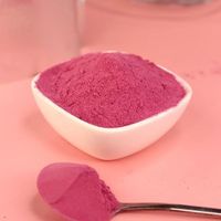 Gecertificeerd Goede Kwaliteit Kruidenextract van Cranberry Fruit 50% Proanthocyanidinen Poeder Bulk Vacuüm Verpakt Voedingsmiddelenkwaliteit