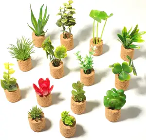 कोरा गर्म बिक्री घर सजावट स्मारिका चुंबक पौधा रेकुलेंट फ्रिज के लिए फ्रिज मैग्नेट