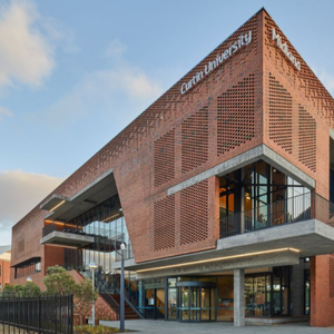 Đất Nung Ốp Tường Gạch Cổ Gạch Đất Sét Đỏ Rỗng Văn Hóa - Product Image 4