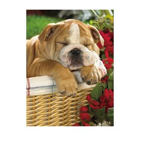 Prix usine 3D <span class=keywords><strong>image</strong></span> lenticulaire <span class=keywords><strong>de</strong></span> <span class=keywords><strong>super</strong></span>-héros Anime 3D affiches pour la vente en gros - Product Image 3