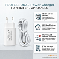 Adaptador de Corriente USB Tipo-C Gofern Mini Series 5V 2A, Cable de 1.2m, Cargador de Pared Multi-Enchufe para Luces de Árbol de Navidad