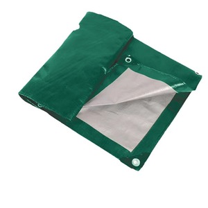 Ruigu Huizhong PE Tarpaulin 2.0-6.0mm Thickened Waterproof Green Silver Industrial Striped Cloth - Product Image 2