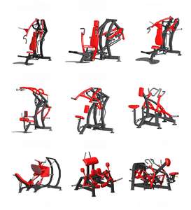 Placa de gama completa Sparda de fábrica, equipo de gimnasio comercial cargado, HIPEREXTENSIÓN INVERSA - Product Image 4