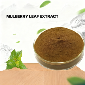Hữu cơ tự nhiên lá dâu tằm chiết xuất bột <span class=keywords><strong>1</strong></span> <span class=keywords><strong>dnj</strong></span> <span class=keywords><strong>10</strong></span>% tiêu chuẩn hóa thảo dược bổ sung cho lượng đường trong máu hỗ trợ - Product Image 2