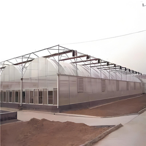 Serre en acier multi-chapelles avec structure en plastique, grande serre en <span class=keywords><strong>film</strong></span> PE facile à assembler, personnalisable pour jardins botaniques et sites touristiques - Product Image 2