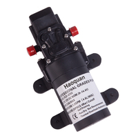 Pompa Booster Mikro Portabel 12V DC Tekanan Tinggi Pasokan Pabrik untuk Irigasi & Pertanian Struktur Diafragma untuk Pemesinan