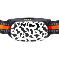 Collier GPS 4G pour animaux de compagnie G61, vente en gros d'usine, avec suivi de localisation en direct et fonction de clôture géographique pour chiens et chats