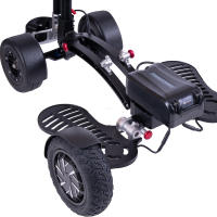 Scooter de golf avec batterie amovible, scooter électrique pour parcours de golf, prix d'usine, fournisseur OEM ODM