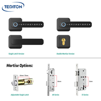 Serrure de porte intelligente Tediton Wifi, téléphone mobile, porte en bois, poignée à capteur d'empreintes digitales à distance, serrures électroniques