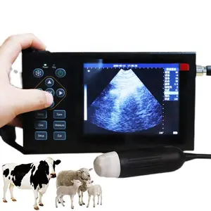 Heizle Mechanische Sonde Goedkope Prijs Veterinaire Echografie Machine Diagnose Dierenarts Echografie Scanner Voor Dieren Schapenvarkens