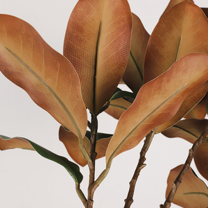 Ramas de Magnolia Simuladas con Dos Hojas Divididas, Alta Simulación, Decoración del Hogar, Arreglo Floral, Planta en Maceta - Product Image 4