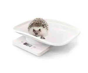 22ポンド10キロ1グラムCurving Platform New Born Baby Puppy Kitty Weighing Scale Digital Small Animal Electronic Pet Scale