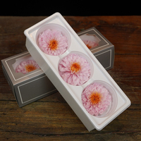 Niet kunstbloemen decoratiebloem Eeuwige bloemen Dahlia Grote maat 7-8cm voor begrafenis en aanbidding Echte natuurlijke bloem