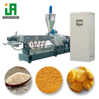 Système de fabrication entièrement automatisé de flocons de panko, de granulés et de miettes d'amidon, technologie d'extrusion, machines de fabrication commerciales
