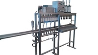 Machine d'embouteillage et de capsulage de bière pour le remplissage de bière