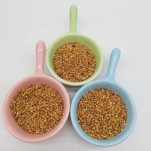 Nueva cosecha rojo/blanco/amarillo mijo escoba glutinosa maíz mijo cola de zorro mijo para <span class=keywords><strong>semilla</strong></span> de pájaro - Product Image 4