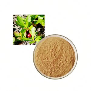Extrait de fines herbes Extrait de busserole Acide ursolique <span class=keywords><strong>Arctostaphylos</strong></span> Uva-ursi - Product Image 1