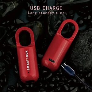 Huyo Stainless Steel Mini Fingerprint USB Keyless Luggage <b>Lock</b> Electronic Smart Biometric Door <b>Lock</b> Quick Unlock Travel - Product Image 4