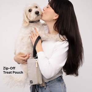 2'si 1 Arada Köpek Ekipmanı Sırt Çantası Taşınabilir Premium Moda Su Geçirmez Polyester Seyahat Çantası 10 Cepli Çıkarılabilir Ödül Çantası Tasma Klipsi - Product Image 4