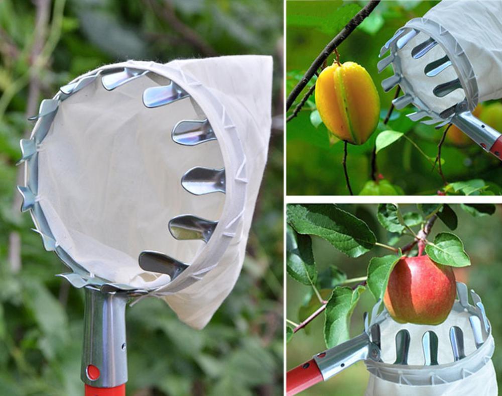 Recolector De Fruta Telescópico De 4 Metros - Pértiga De Acero Inoxidable Con Bolsa De Algodón - Para Manzanas, Cerezas, Peras, Naranjas - Herramienta De Jardín Sin Escalera
