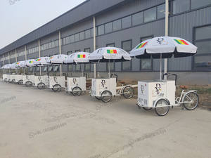 Carrito de Venta Ambulante Bicicleta Solar para Helados con Batería Triciclo Carrito de Helados Carrito Bicicleta para Jugos y Bebidas - Product Image 5