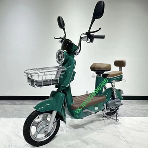 All'ingrosso 48V adulti biciclette elettriche 350 urbano W Ebike due ruote biciclette secondo le norme nazionali - Product Image 1