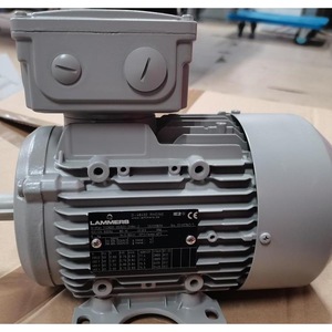Lammers Ac Motor 22/427947/1 <b>Frameless</b> Industrial Use - Product Image 1