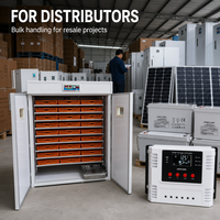 Incubateur solaire et éclosoir d'oeufs 2640 intelligents de nouvelle conception pour le canard et les oies de poulet