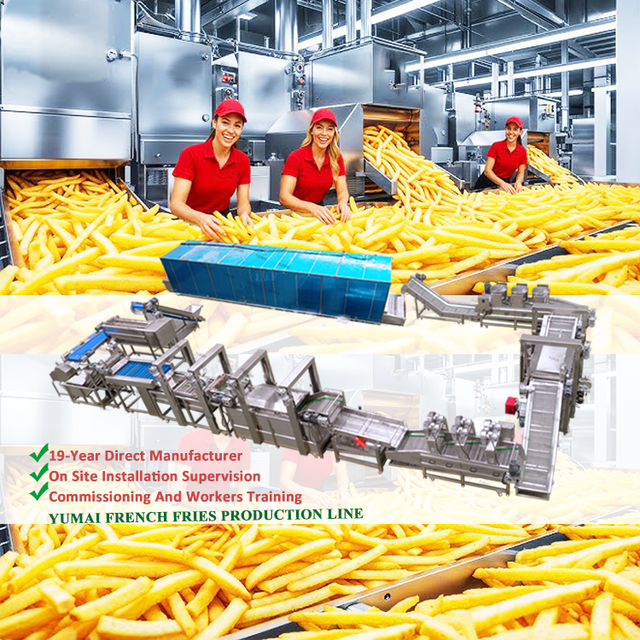 Fully Automatic Industrial Frozen French Fries Production Line Potato Crisps Production Line Price