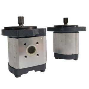 0510625072 AZPF 11 019RRR20KB S0081 Pompe à engrenages pour pompes et moteurs hydrauliques pour machines de construction - Product Image 1