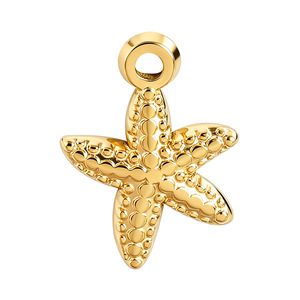 Dijes de Animales Marinos de Acero Inoxidable Dorado, Estrella de Mar, Pulpo, Cangrejo, Colgantes de Estilo Bohemio para Playa, Accesorios de Joyería DIY - Product Image 5