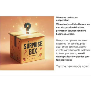 Mystery Box Electronique High Surprise Reviews Controladores de juegos de la suerte Novedad Electrónica Rastreador de actividad de ratón aleatorio Correo electrónico - Product Image 6