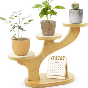 ที่วาง<span class=keywords><strong>ต้นไม้</strong></span>แบบตั้งโต๊ะรูปกิ่งไม้สร้างสรรค์ ทำจากไม้ไผ่ สำหรับ<span class=keywords><strong>วาง</strong></span>ดอกไม้ บนโต๊ะทำงาน ห้องนั่งเล่น และระเบียง ใช้สำหรับปลูกไม้อวบน้ำ - Product Image 1