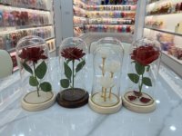 Lampu LED Buatan Tangan dengan Penutup Kaca dan Mawar Beludru, Hadiah Grosir Natal dan Hari Valentine