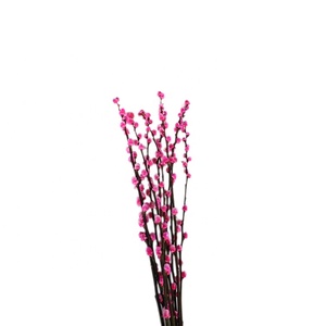Ramas Frescas de Flores Reales de Sauce Plateado para Nochevieja, Adorno de Flores Secas para Sala de Estar, Flores Rojas - Product Image 5