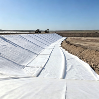 Tissu géotextile en polypropylène, barrière anti-mauvaises herbes respirante, toile paysagère agricole