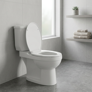โถสุขภัณฑ์เซรามิกแบบสองชิ้น Aqua พร้อมระบบ S-Trap และ P-Trap แบบ Dual Flush ช่องเติมน้ำด้านข้าง - Product Image 2